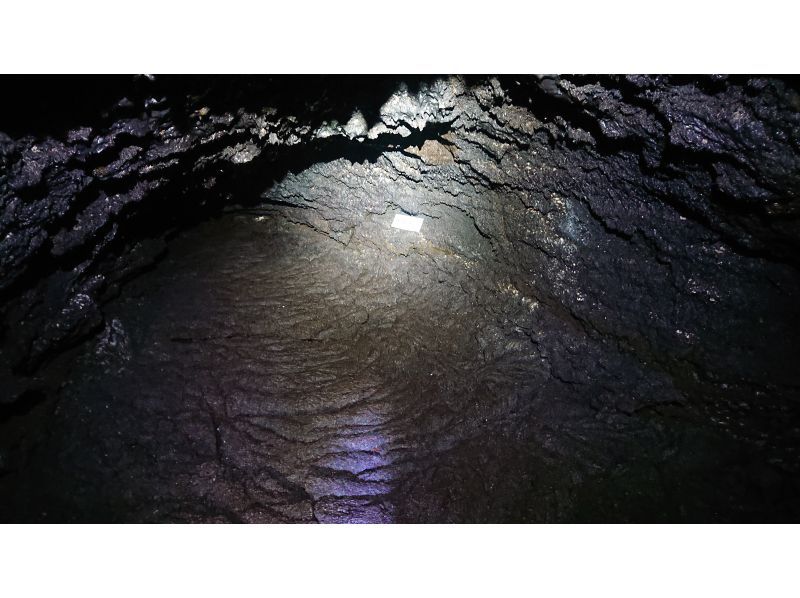 [Yamanashi/ Kawaguchiko] Aokigahara Jukai trekking & cave tour, Yamanashi 30 years of weekend life guideの紹介画像