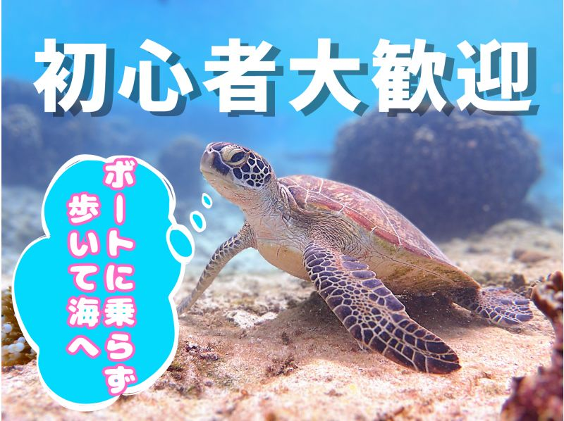 ◎探しに行こう♪【100種類以上のお魚と稀に見れるウミガメさん】天然水族館でシュノーケリング｜3～70歳｜送迎無料｜エサやり無料
