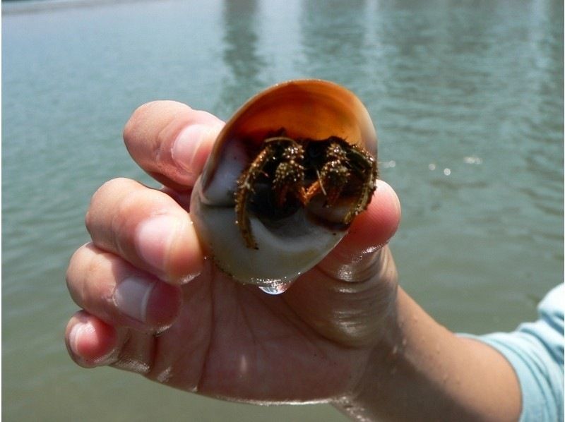 [Wakayama/ Wakaura Bay] Sea kayak experience (half-day course) afternoon sectionの紹介画像