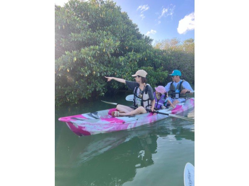Get an island banana smoothie [Miyakojima 1-day retreat] Go by boat! The elusive Uni Beach & mangrove kayaking & agricultural tour experience [island bananas, strawberries, island herbs]の紹介画像