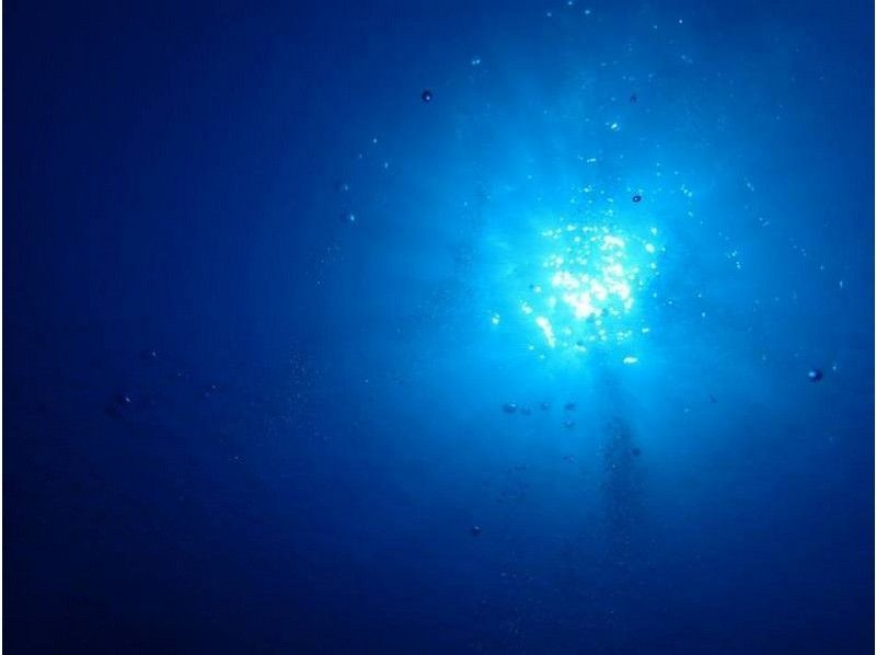 [Okinawa Onna] STARS / CMAS & PADI license acquisition Advanced Open Water courseの紹介画像