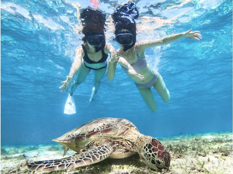[Miyakojima/Private Tour] Chartered sea turtle snorkeling! 99% chance of encountering a sea turtle! [Equipment rental & free photos!]の紹介画像