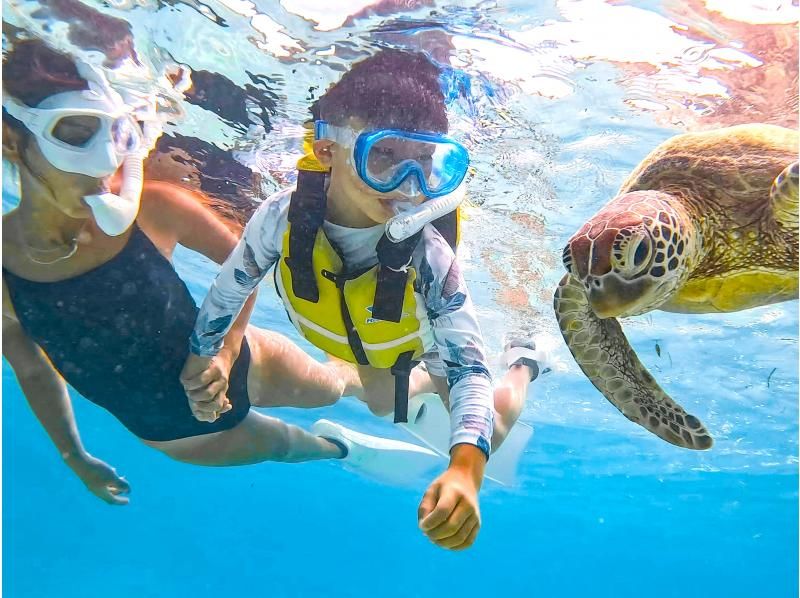 [Miyakojima/Private Tour] Chartered sea turtle snorkeling! 99% chance of encountering a sea turtle! [Equipment rental & free photos!]の紹介画像