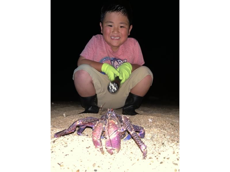 [Ishigaki Island / Private tour for one group] Starry sky photo, firefly viewing & jungle night tour