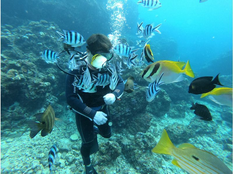 【沖縄・青の洞窟ボート体験ダイビング】専属ガイド貸切制ツアー水中撮影＆お魚餌付&シャワー、トイレ、ロッカー無料！の紹介画像