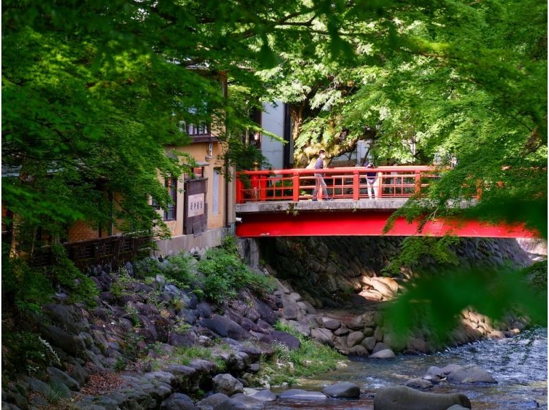 [Izu Area] Customized 10-hour day tour with private driver sightseeing rental carの紹介画像