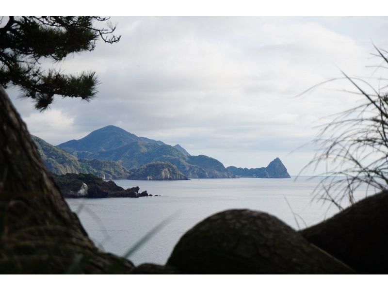 [Izu Area] Customized 10-hour day tour with private driver sightseeing rental carの紹介画像