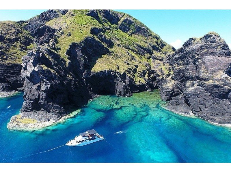 Departing from Naha, Kerama Michelin area, 1 day / Trial diving 2 dives & snorkeling ★ 2024 AJ Naha area review No. 1 ★ 3 location tour ★ Non-smoking boat ★の紹介画像