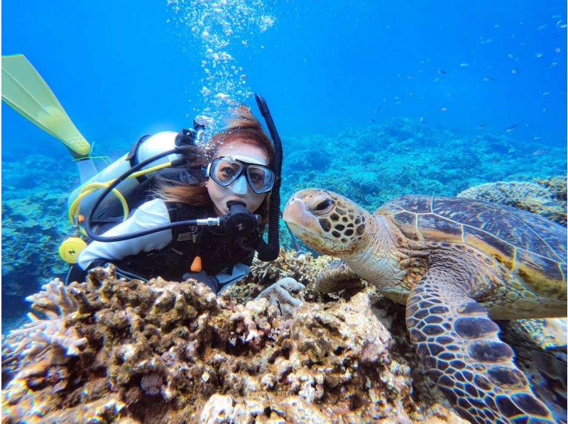 Departing from Naha, Kerama Michelin area, 1 day / Trial diving 2 dives & snorkeling ★ 2024 AJ Naha area review No. 1 ★ 3 location tour ★ Non-smoking boat ★の紹介画像