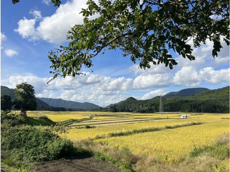 Driving Support in Akitaの紹介画像