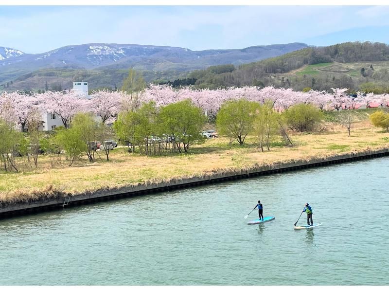 【距離餘市站步行7分鐘】在平靜的餘市川上悠閒地體驗SUP の紹介画像