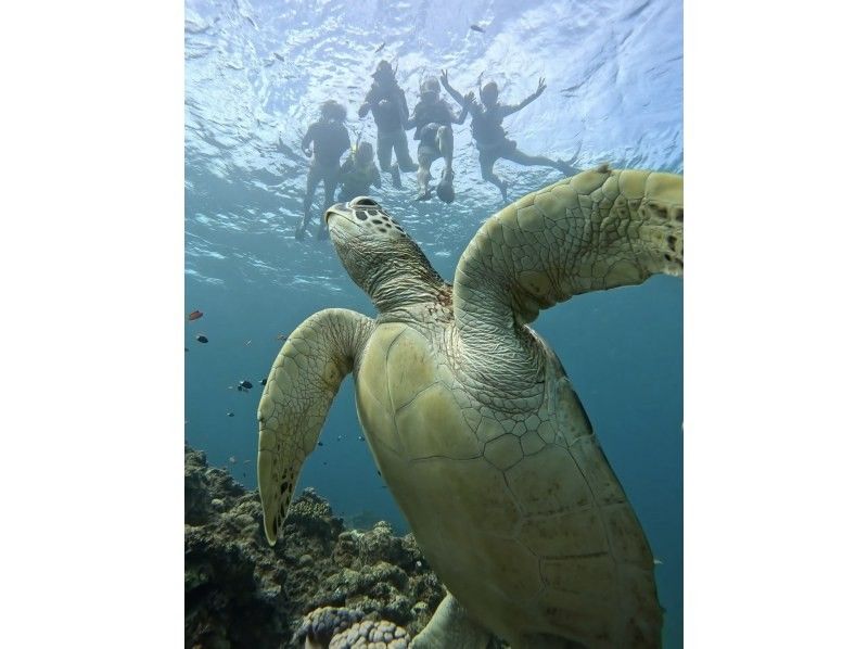 Blue cave & sea turtle snorkeling / Ages 2 to 70 OK! ︎《Photo data gift》