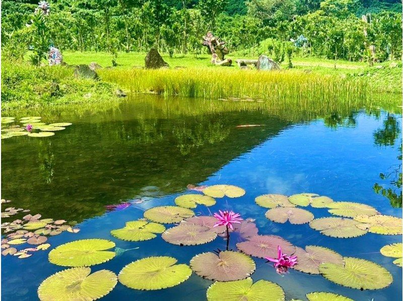 [The island's new power spot ☆ Shisa farm! ] ☆ Includes admission to the Palm Memorial Museum ☆ Maibara Power Spot Plan ☆の紹介画像