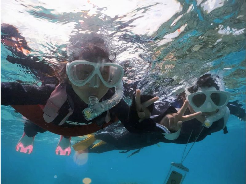 Same-day reservations welcome! [Amami Oshima] Sea turtle snorkeling experience tour! Free underwater video!! Encounter rate: 100%! Groups and individuals OK!の紹介画像
