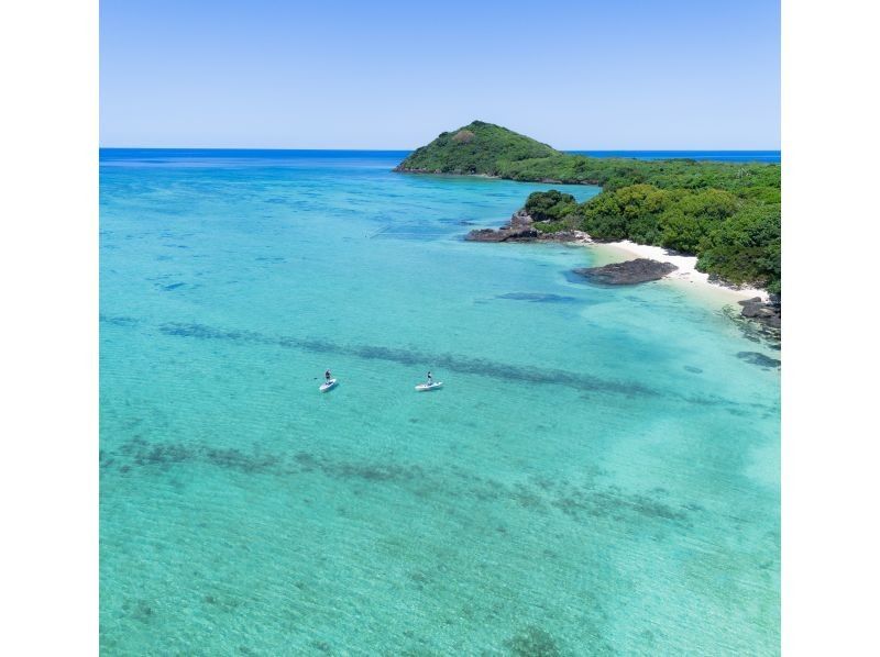[Small group/SUP/canoe] Ishigaki Island's first! Mangrove & ocean drone/SLR photography included! "Tropical rainforest and clear blue ocean you can land on" guided by a professional island photographer!の紹介画像