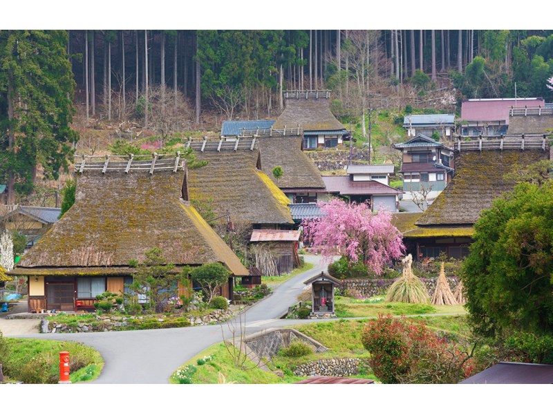 【天橋立】天橋立 | 天橋立展望台 | 伊根舟屋 | 美山合掌村かやぶき屋根の里 日帰りツアー | 大阪発の紹介画像
