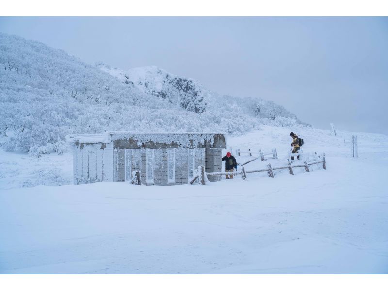 [Hokkaido, Toya/Noboribetsu/Tomakomai] Half-day snowshoe tour to Orofure Pass