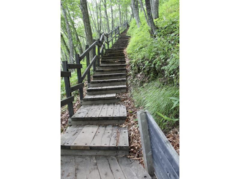 [Hokkaido, Kushiro] Touring the Kushiro Marsh C Course: Around the Kushiro Marsh Course by Sightseeing Taxiの紹介画像