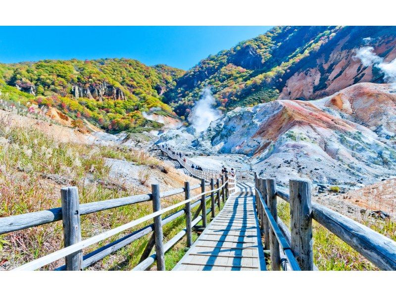 【日帰り】北海道B|登別地獄谷|大湯沼|昭和新山とクマ牧場|洞爺湖展望台|小樽（札幌発）の紹介画像