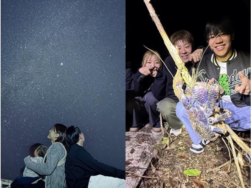 [Miyakojima, pick-up and drop-off available] Same-day reservations OK! Coconut crab & starry sky photography! Coconut crab encounter rate continues to be 100%! An exciting night tour to find creatures that only appear at night!の紹介画像