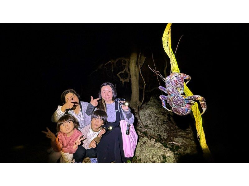 [Miyakojima, pick-up and drop-off available] Same-day reservations OK! Coconut crab & starry sky photography! Coconut crab encounter rate continues to be 100%! An exciting night tour to find creatures that only appear at night!の紹介画像