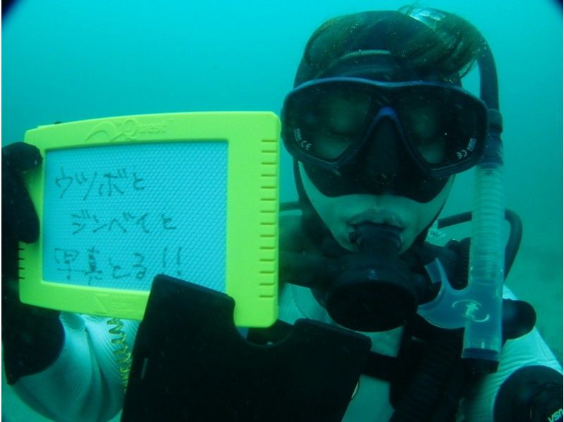 [Tokyo-Niijima] SSI Scuba Diver course [acquired in 2 days-SSI licensed course]の紹介画像