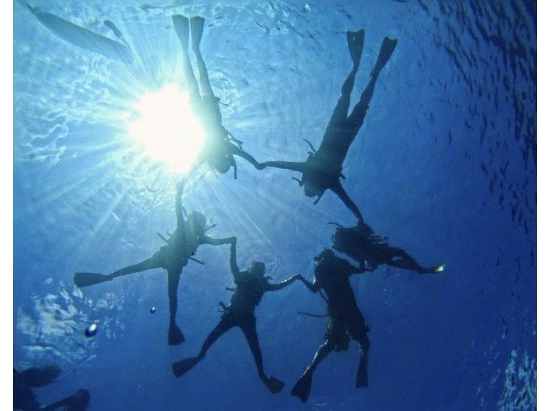 【ウミガメと泳ごう！】ウミガメポイントシュノーケリング（送迎無料＆GoPro写真サービス付き）の紹介画像