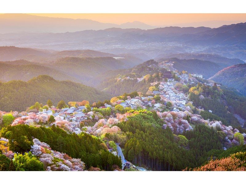 【櫻花季限定】奈良公園可愛小鹿 | 東大寺 | 吉野山賞櫻 | 千本櫻花 | 免費櫻花鈴 | 1日遊の紹介画像