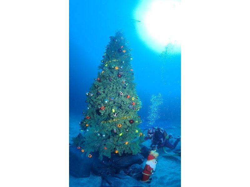 [Ibaraki ・ Tsukuba】 Beginners welcome! 1 day experience Diving 【Sea Experience】
