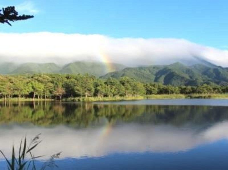 【北海道・知床】人気夏プログラム！知床五湖ガイドツアー ～世界自然遺産・知床の森を散策～