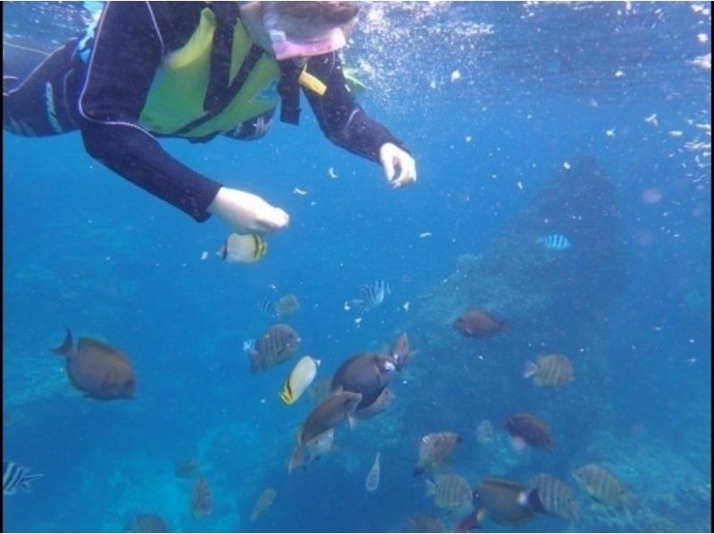 [Okinawa Onna] tropical fish & island sandals handmade experience set courseの紹介画像