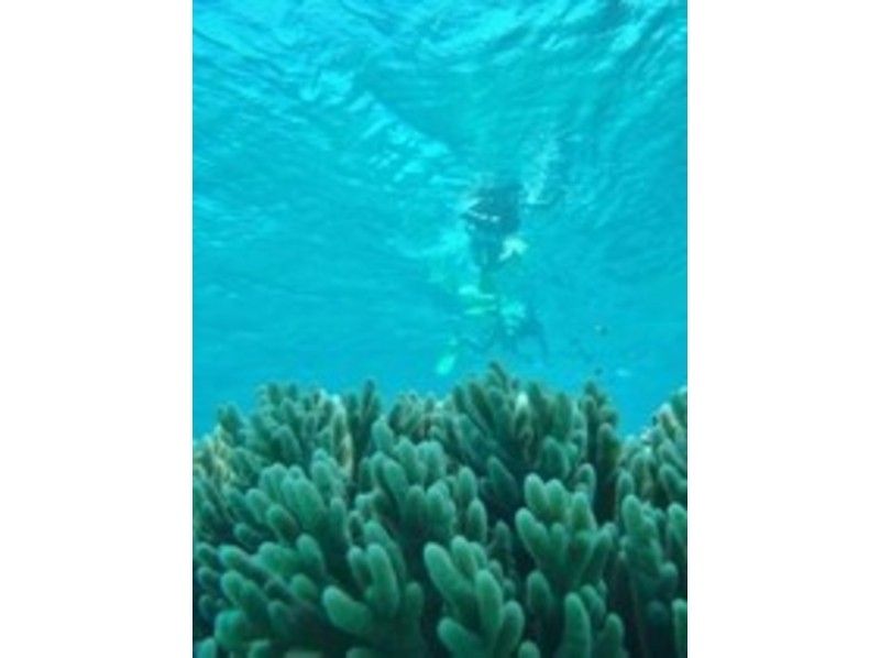 【沖縄・西表島】大自然を満喫！船浮周辺・イダの浜カヤック・シュノーケリングツアー！！★1日プラン★の紹介画像