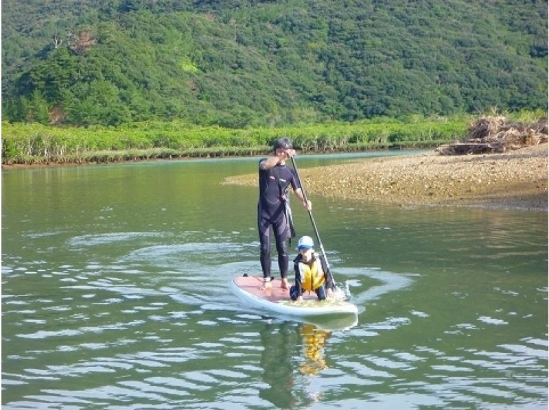 World Heritage Amami Oshima SUP Mangrove Tour (4 hours, up to 4 people)の紹介画像