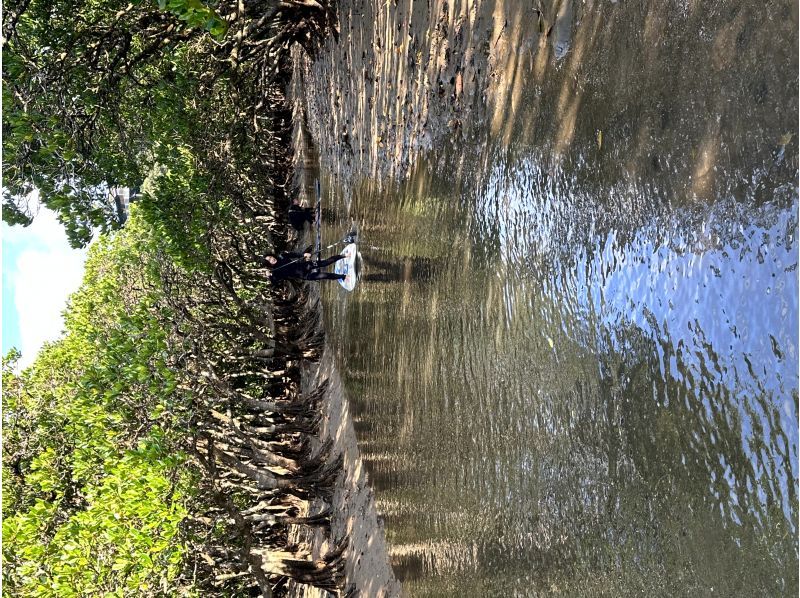 World Heritage Amami Oshima SUP Mangrove Tour (4 hours, up to 4 people)の紹介画像