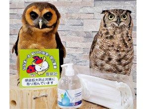 プランの魅力 あうるぱーくの感染予防対策 の画像