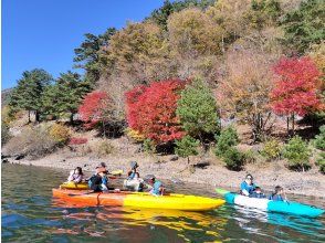 プランの魅力 Autumn leaves の画像