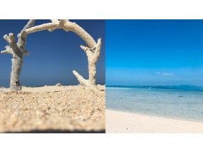 プランの魅力 の画像