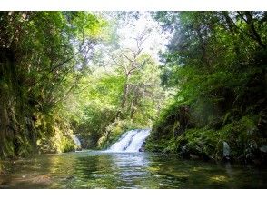 プランの魅力 の画像
