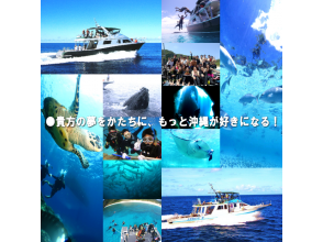 プランの魅力 貴方の夢をかたちに、もっと沖縄が好きになる! の画像