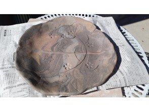 プランの魅力 の画像