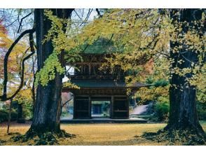 プランの魅力 の画像