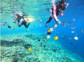 プランの魅力 Okinawa blue! ! の画像