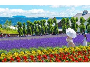 プランの魅力 の画像