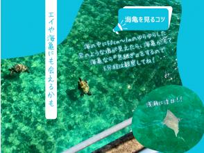 プランの魅力 ☆ 如果您幸运的话,您可能会看到一些海龟! の画像