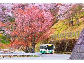プランの魅力 吉野山賞櫻 の画像