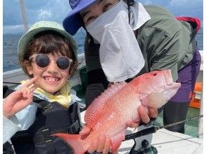 プランの魅力 の画像