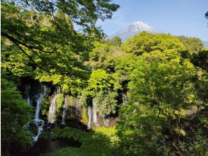 プランの魅力 名瀑、白糸の滝を観光、付近の音止めの滝では富士山をバックに記念撮影 の画像