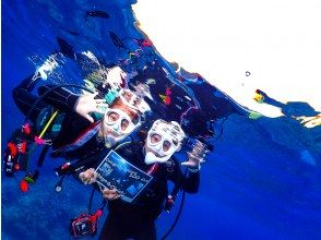 プランの魅力 体験でも水中を沢山!2~3ダイブ の画像