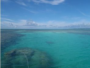 プランの魅力 石垣島の素晴らしい自然を体験できます! の画像
