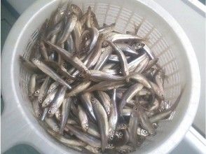 こんなに釣れる日も!?